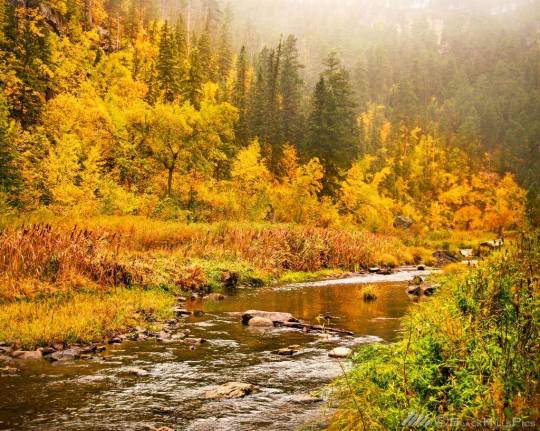 14542489_10153978940093333_5710049075060528026_o